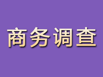 海晏商务调查